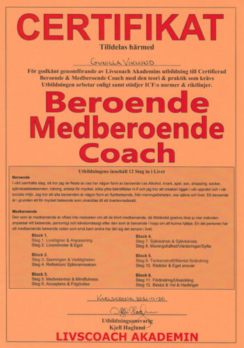 Beroende-Medberoende-Coach